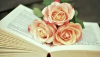 Open Book, Pink Roses, Romance